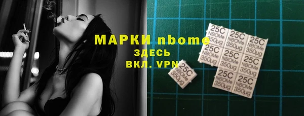 тгк Касимов