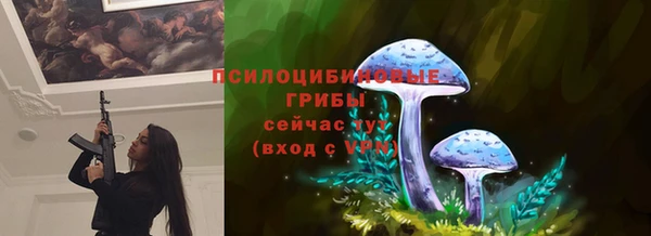 марки lsd Карталы