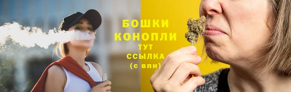тгк Касимов