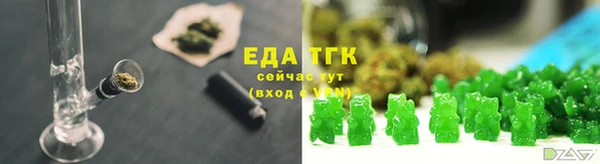 тгк Касимов