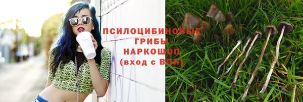спиды Карпинск