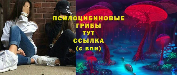спиды Карпинск