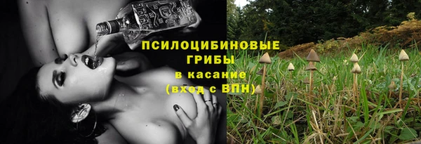 спиды Карпинск