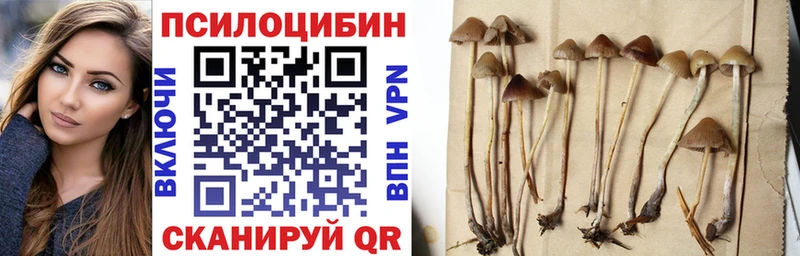 Галлюциногенные грибы Psilocybe  Купить где  Инза 